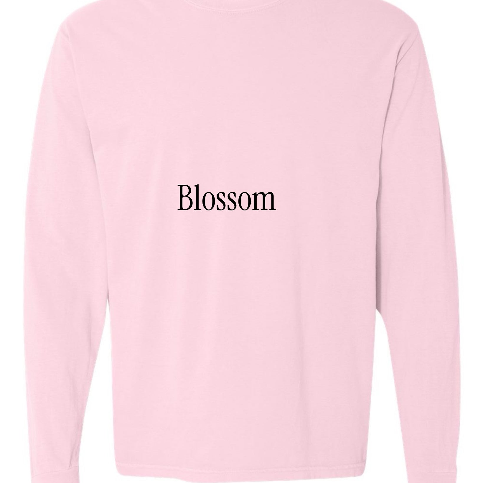 Will Not Fear-Black Text-Graphic Long Sleeve-130 Graphic Tees-Heathered Boho-Heathered Boho Boutique, Women's Fashion and Accessories in Palmetto, FL