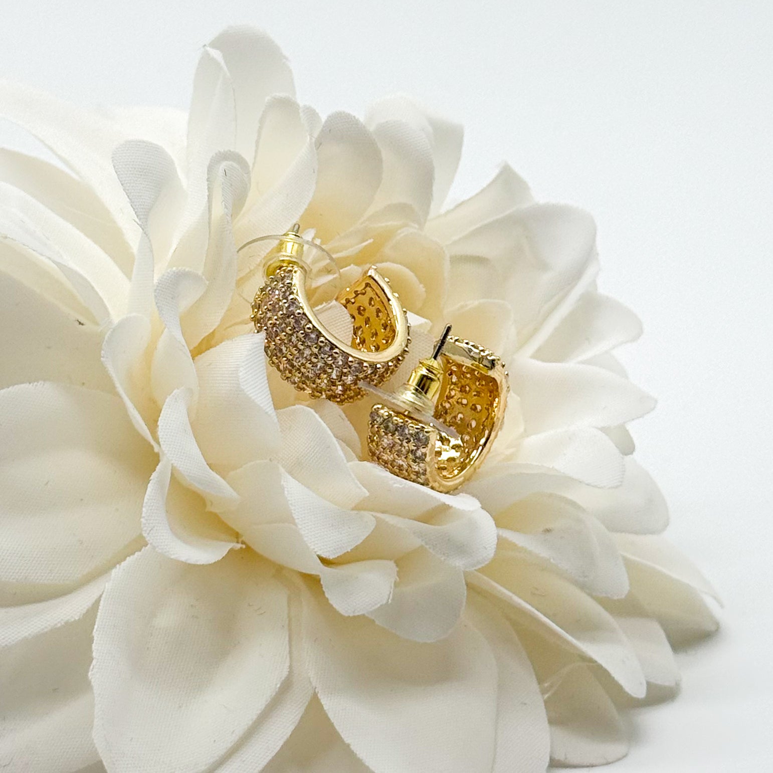 Hint of Persuasion Earring-310 Jewelry-Millenx Accessories, LLC.-Heathered Boho Boutique, Women's Fashion and Accessories in Palmetto, FL