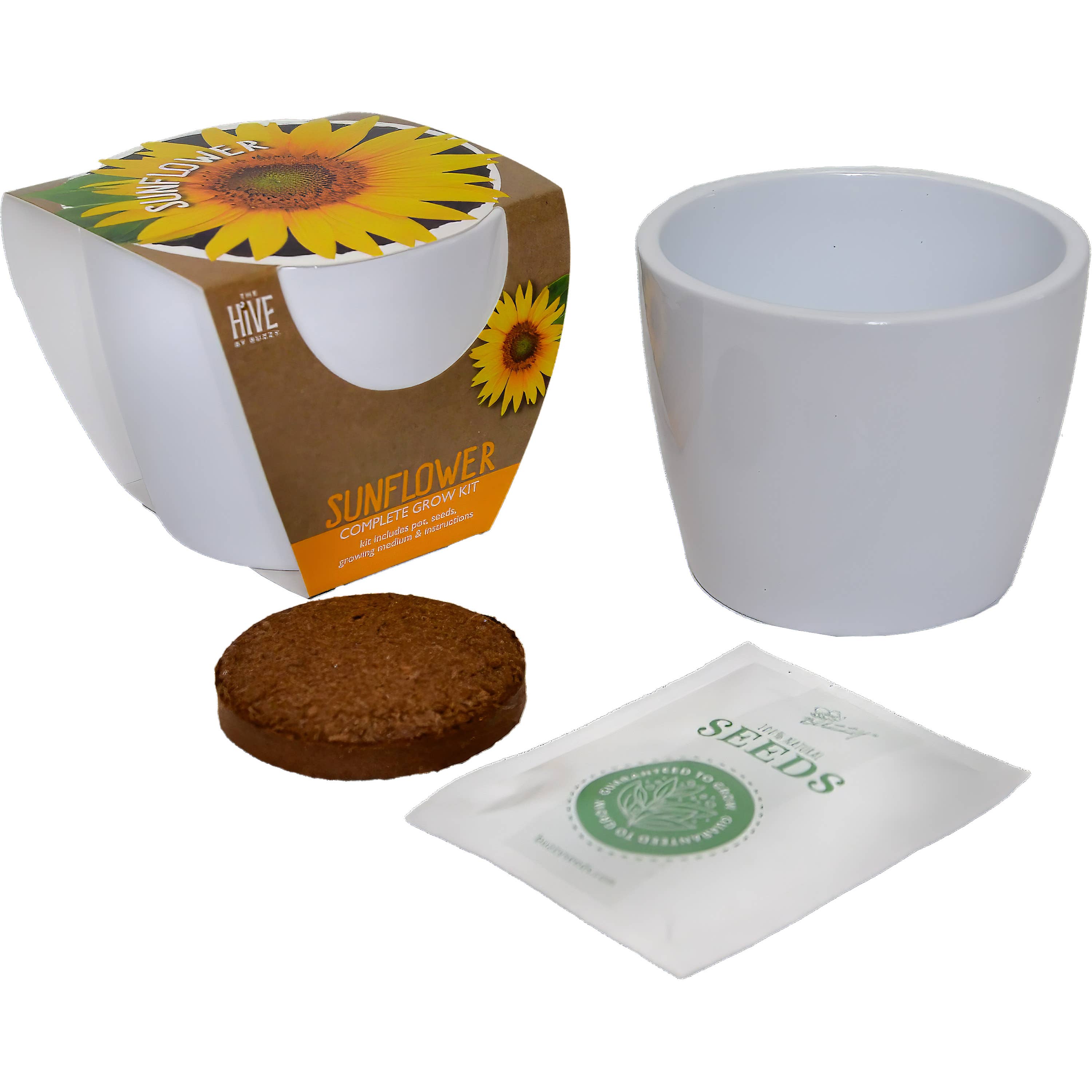 Classic Sunflower Ceramic Grow Kit - CLEARANCE ‼️-Buzzy Seeds Grow Gifts-Heathered Boho Boutique, Women's Fashion and Accessories in Palmetto, FL
