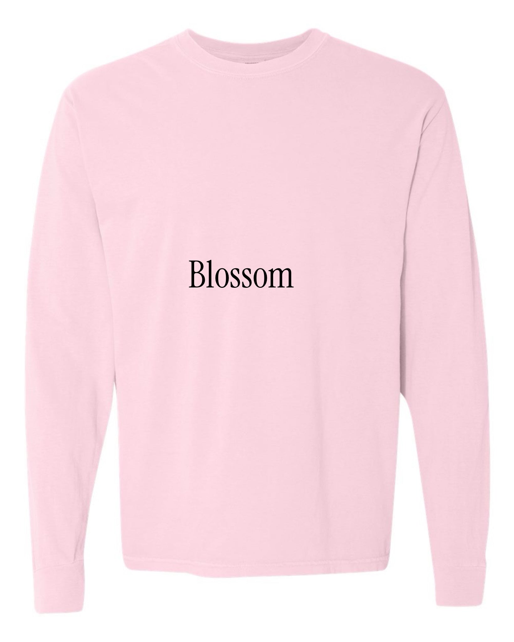 Will Not Fear-Black Text-Graphic Long Sleeve-130 Graphic Tees-Heathered Boho-Heathered Boho Boutique, Women's Fashion and Accessories in Palmetto, FL