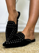 Mischief Mules