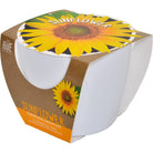 Classic Sunflower Ceramic Grow Kit - CLEARANCE ‼️-Buzzy Seeds Grow Gifts-Heathered Boho Boutique, Women's Fashion and Accessories in Palmetto, FL