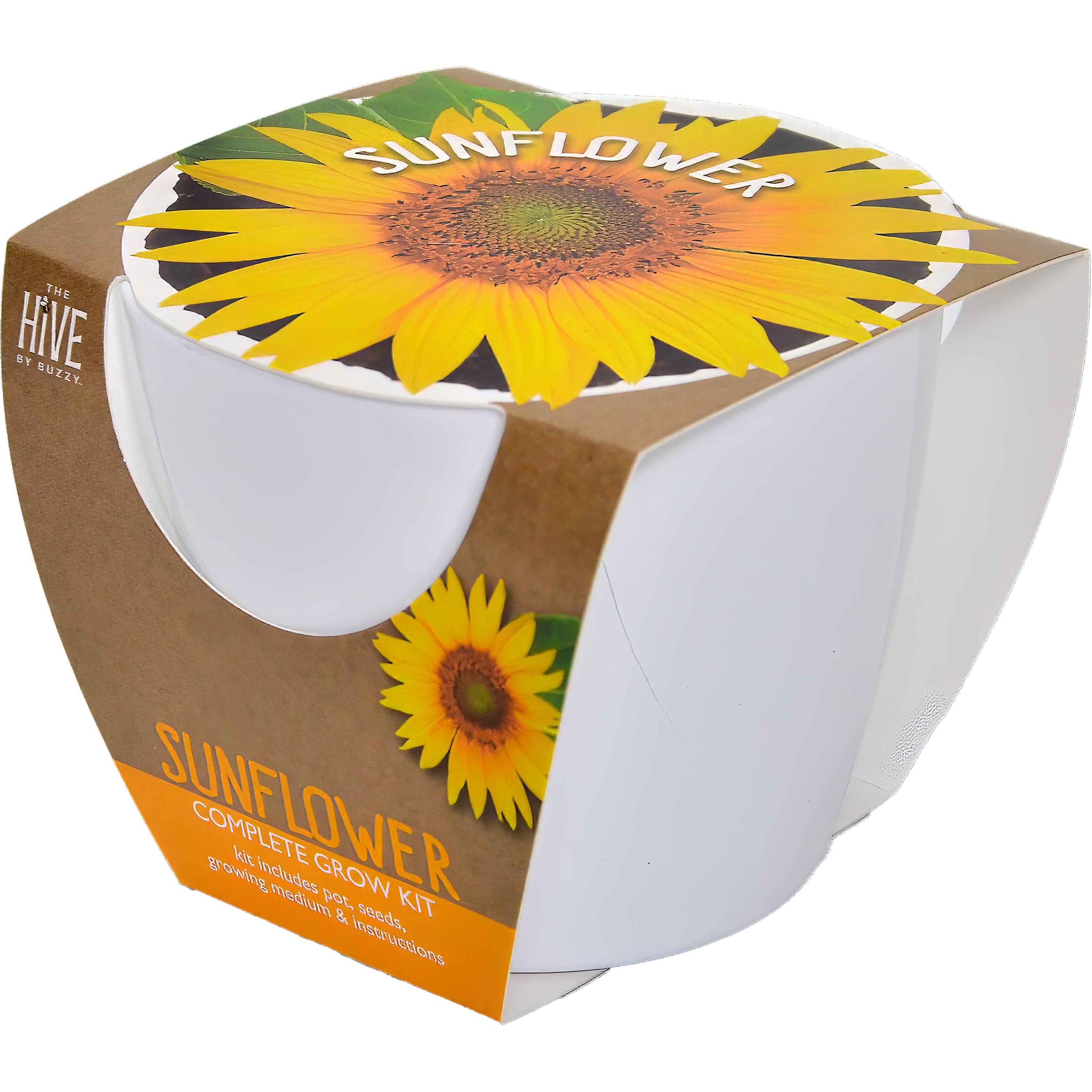 Classic Sunflower Ceramic Grow Kit - CLEARANCE ‼️-Buzzy Seeds Grow Gifts-Heathered Boho Boutique, Women's Fashion and Accessories in Palmetto, FL
